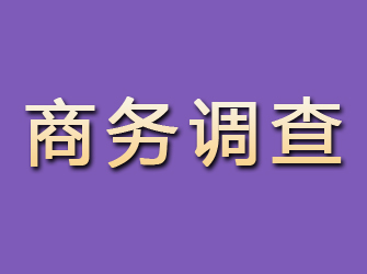 臺(tái)州商務(wù)調(diào)查